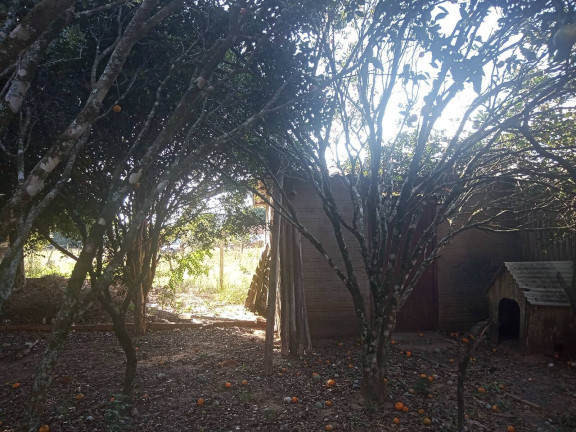 Imagem Casa com 2 Quartos à Venda, 504 m² em águas Claras - Viamão