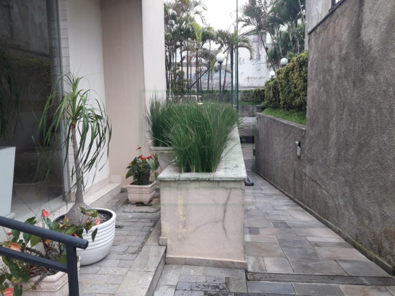 Imagem Imóvel com 2 Quartos à Venda, 58 m² em Jardim Esmeralda - São Paulo