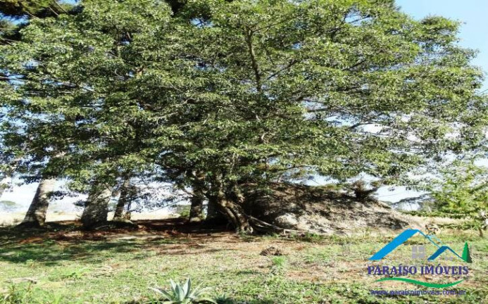 Imagem Terreno em Condomínio à Venda, 1.158 m² em Centro - Gonçalves Imagem Terreno em Condomínio à Venda, 1.158 m² em Centro - Gonçalves