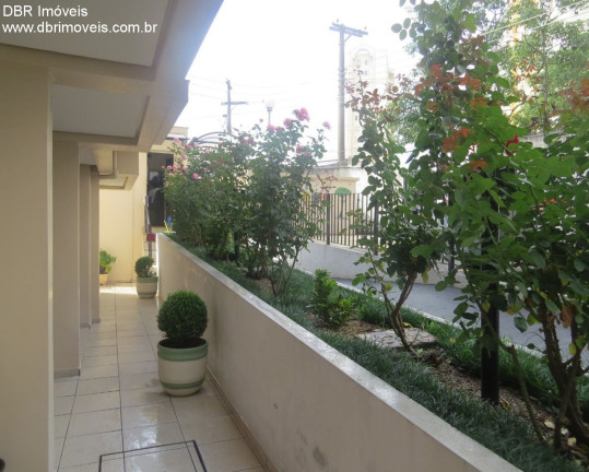 Imagem Apartamento com 2 Quartos à Venda, 48 m² em Sacomã - Sao Paulo Imagem Apartamento com 2 Quartos à Venda, 48 m² em Sacomã - Sao Paulo