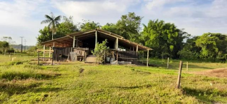 Imagem Imóvel com 2 Quartos à Venda, 111.000 m² em Alexandra - Paranagua