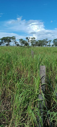 Imagem Fazenda à Venda, 1.200 m² em Rural - Corumbá Imagem Fazenda à Venda, 1.200 m² em Rural - Corumbá