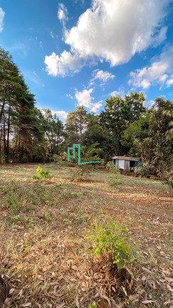 Imagem Imóvel com 4 Quartos à Venda, 5.006 m² em Morada Do Sol - Franca Imagem Imóvel com 4 Quartos à Venda, 5.006 m² em Morada Do Sol - Franca