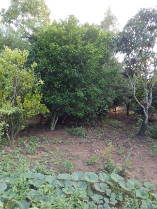 Imagem Chácara com 2 Quartos à Venda,  em Estância São Paulo - Campo Limpo Paulista