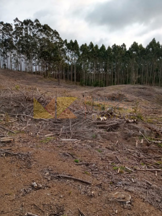 Imagem Fazenda à Venda, 59.000 m² em Alto Cedros - Rio Dos Cedros