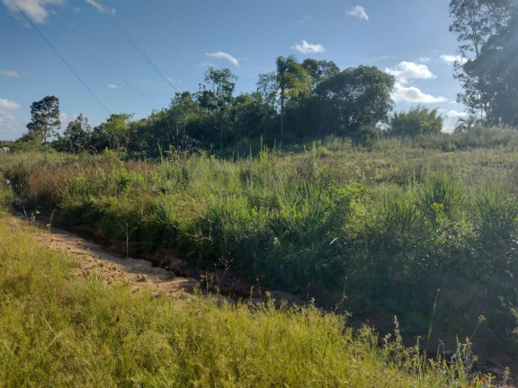 Imagem Terreno à Venda, 20.000 m² em Alto Perequê - Arroio Do Padre Imagem Terreno à Venda, 20.000 m² em Alto Perequê - Arroio Do Padre