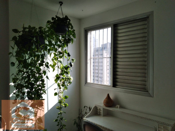 Imagem Apartamento com 3 Quartos à Venda, 87 m² em Vila Firmiano Pinto - São Paulo Imagem Apartamento com 3 Quartos à Venda, 87 m² em Vila Firmiano Pinto - São Paulo