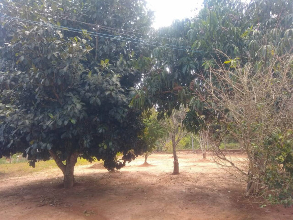 Imagem Chácara com 2 Quartos à Venda, 1.110 m² em Jardim Cananéia - Pilar Do Sul Imagem Chácara com 2 Quartos à Venda, 1.110 m² em Jardim Cananéia - Pilar Do Sul