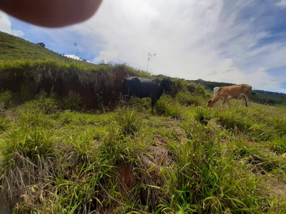 Imagem Terreno à Venda, 2.000 m² em Taubaté Imagem Terreno à Venda, 2.000 m² em Taubaté