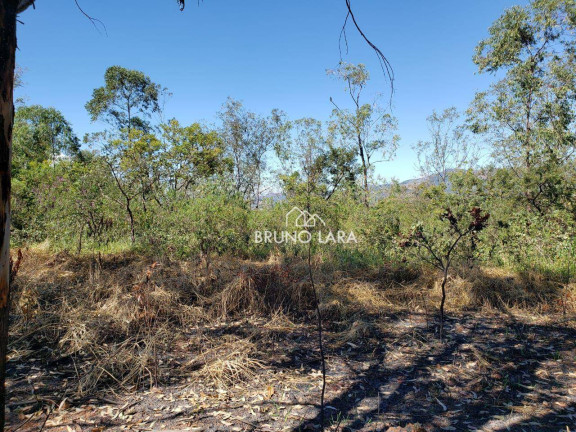 Imagem Terreno à Venda, 60.000 m² em Novo Igarapé - Igarapé