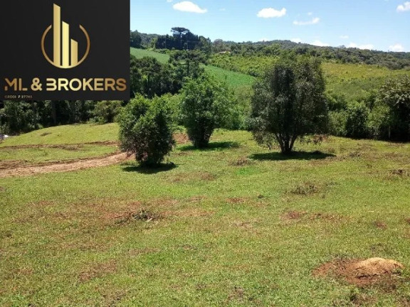 Imóvel à Venda, 10.000 m² em Centro - Bocaiuva Do Sul