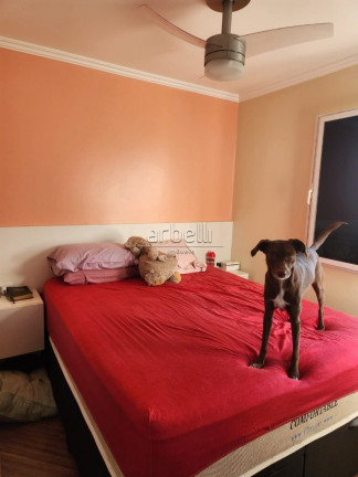 Imagem Apartamento com 3 Quartos para Alugar, 65 m² em City América - São Paulo Imagem Apartamento com 3 Quartos para Alugar, 65 m² em City América - São Paulo