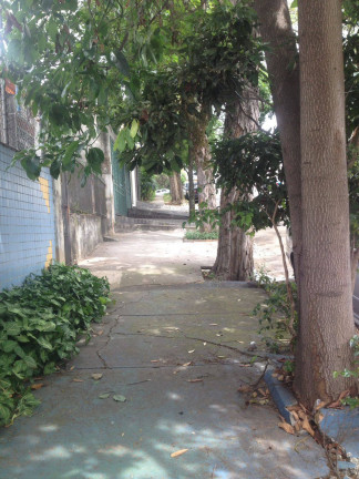 Imagem Casa com 3 Quartos à Venda, 160 m² em Vila Mariana - São Paulo Imagem Casa com 3 Quartos à Venda, 160 m² em Vila Mariana - São Paulo