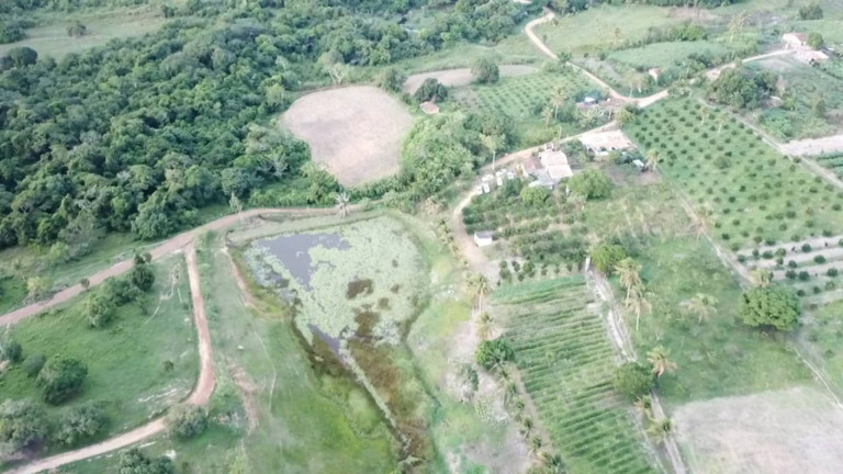 Imóvel com 4 Quartos à Venda, 21.000 m² em Centro - Estância