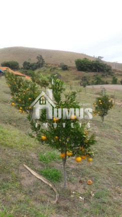 Imagem Fazenda à Venda, 1.500 m² em Fábrica - São Luiz Do Paraitinga