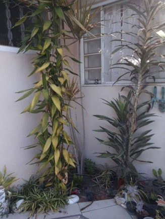 Imagem Casa com 3 Quartos à Venda, 190 m² em Flor Do Vale - Tremembé