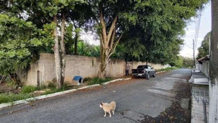 Imagem Terreno à Venda, 250 m² em Jardim Primavera - Roseira