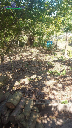 Imagem Casa com 3 Quartos à Venda, 680 m² em águas Claras - Viamão