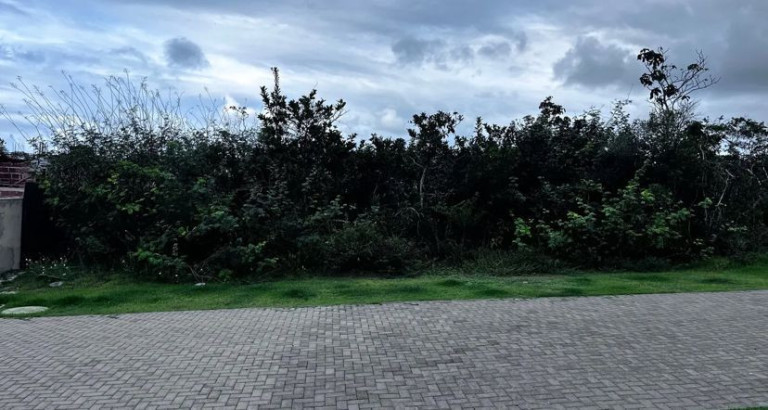 Imagem Terreno à Venda, 700 m² em Praia Do Forte - Mata De São João