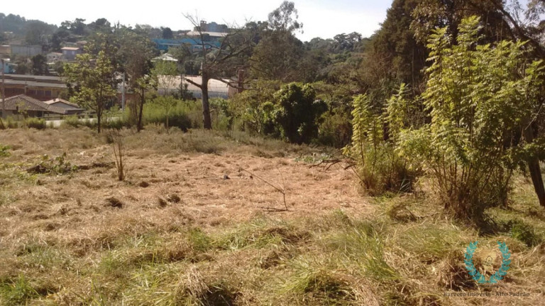 Imagem Terreno à Venda, 7.854 m² em Centro (são João Novo) - São Roque Imagem Terreno à Venda, 7.854 m² em Centro (são João Novo) - São Roque