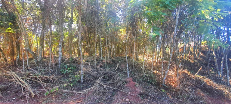 Imagem Imóvel à Venda, 700 m² em Recanto Dos Palmares - Atibaia