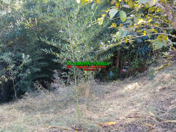 Imagem Chácara à Venda, 1.800 m² em Paraibuna