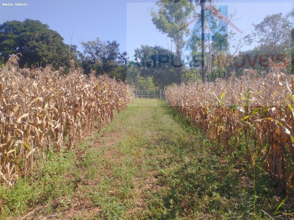 Imagem Imóvel com 2 Quartos à Venda, 15.000 m² em Freitas Serra Azul - Mateus Leme
