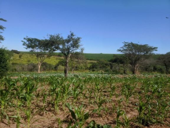 Imagem Chácara com 2 Quartos à Venda, 3.870 m² em área Rural De Lins - Lins Imagem Chácara com 2 Quartos à Venda, 3.870 m² em área Rural De Lins - Lins