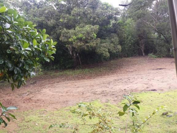 Imagem Terreno à Venda, 100.000 m² em Areia Branca - Lauro De Freitas Imagem Terreno à Venda, 100.000 m² em Areia Branca - Lauro De Freitas