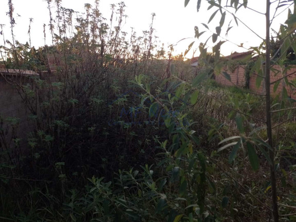 Imagem Terreno à Venda, 279 m² em Jardim Treviso - Pirassununga
