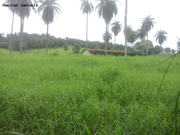 Imagem Fazenda à Venda, 340 m² em Mato Dentro-sitio Novo - Mateus Leme Imagem Fazenda à Venda, 340 m² em Mato Dentro-sitio Novo - Mateus Leme