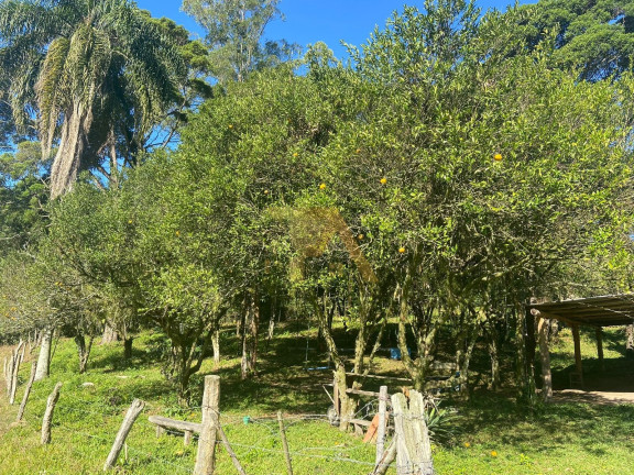 Imagem Fazenda à Venda, em Imaruí - Imaruí Imagem Fazenda à Venda, em Imaruí - Imaruí
