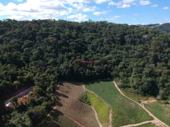 Imagem Imóvel à Venda, 558.000 m² em Pedra Azul - Domingos Martins Imagem Imóvel à Venda, 558.000 m² em Pedra Azul - Domingos Martins