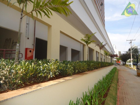 Sala Comercial para Alugar, 40 m² em Centro - Campinas