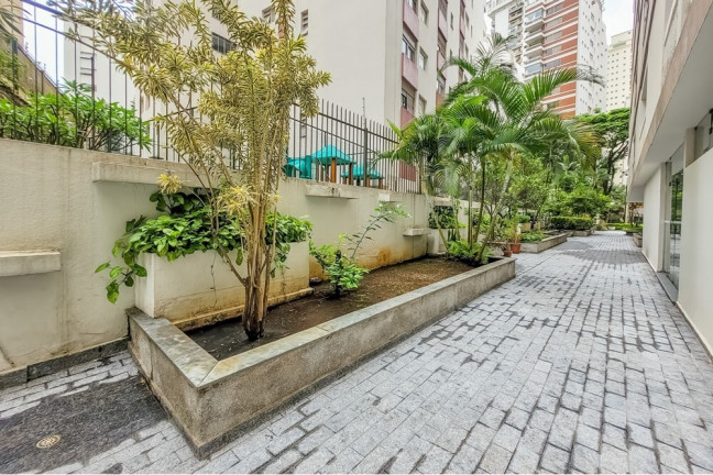 Imagem Imóvel com 3 Quartos à Venda, 228 m² em Higienópolis - São Paulo