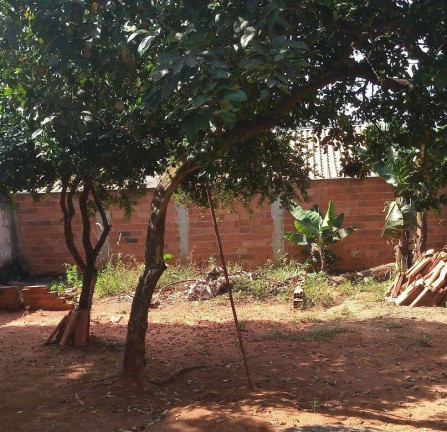 Imagem Casa com 2 Quartos à Venda, 371 m² em Setor Tocantins - Aparecida De Goiânia
