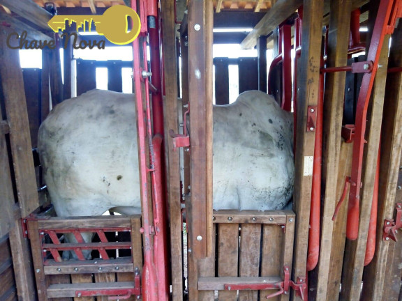 Imagem Chácara com 3 Quartos à Venda, 20 m² em Roseta - Cambuí