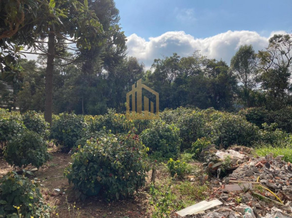 Imagem Terreno à Venda, 2.080 m² em Vila Santa Terezinha - Loteamento Vila Santo Onofre - Campo Largo Imagem Terreno à Venda, 2.080 m² em Vila Santa Terezinha - Loteamento Vila Santo Onofre - Campo Largo