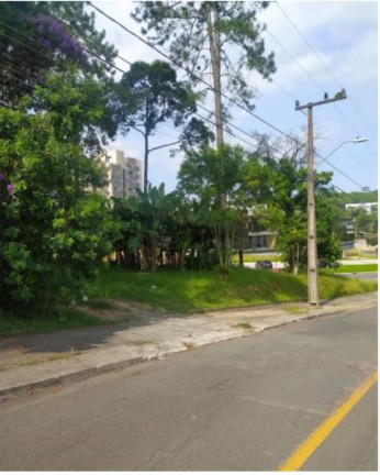 Imagem Terreno à Venda, 3.749 m² em Atiradores - Joinville Imagem Terreno à Venda, 3.749 m² em Atiradores - Joinville