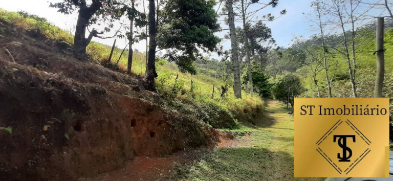 Imagem Chácara com 3 Quartos à Venda, 72.000 m² em Estância Santa Maria Do Portão - Atibaia Imagem Chácara com 3 Quartos à Venda, 72.000 m² em Estância Santa Maria Do Portão - Atibaia