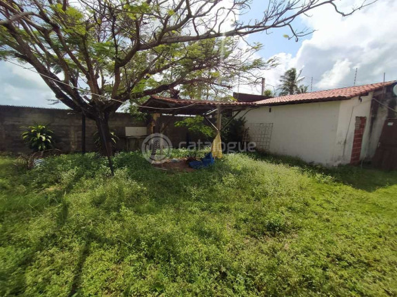 Imagem Terreno à Venda, 6.225 m² em Barra De Tabatinga - Nísia Floresta Imagem Terreno à Venda, 6.225 m² em Barra De Tabatinga - Nísia Floresta