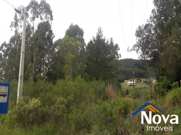 Imagem Imóvel à Venda, 10.211 m² em Linha Araripe - Nova Petrópolis