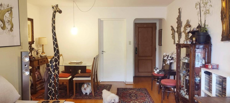 Imagem Apartamento com 3 Quartos à Venda, 82 m² em Indianópolis - São Paulo Imagem Apartamento com 3 Quartos à Venda, 82 m² em Indianópolis - São Paulo