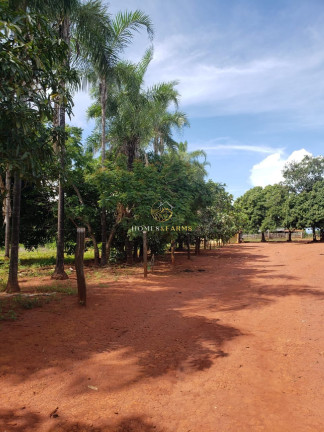 Imagem Imóvel com 3 Quartos à Venda, 45.500 m² em Zona Rural - Minaçu Imagem Imóvel com 3 Quartos à Venda, 45.500 m² em Zona Rural - Minaçu