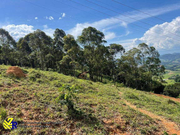 Imagem Chácara à Venda, 41 m² em Pitangueiras - Pedra Bela