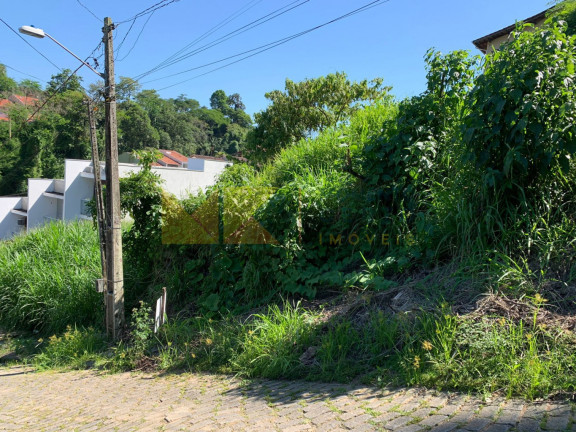 Imóvel à Venda, 450 m² em Escola Agrícola - Blumenau