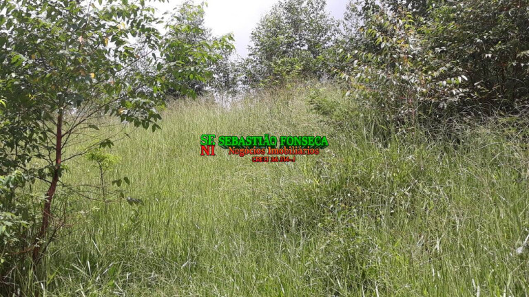 Imagem Chácara à Venda, 23 m² em Centro - Paraibuna Imagem Chácara à Venda, 23 m² em Centro - Paraibuna