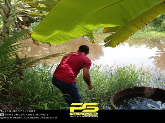 Imagem Imóvel com 1 Quarto à Venda, 20.000 m² em Bananeiras - Bananeiras Imagem Imóvel com 1 Quarto à Venda, 20.000 m² em Bananeiras - Bananeiras
