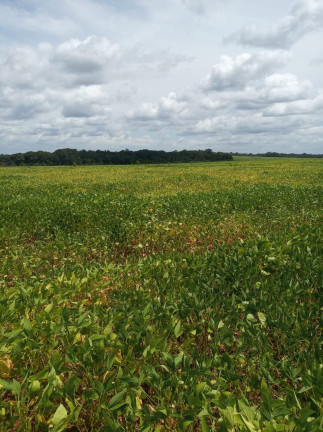 Imagem Imóvel à Venda,  em Colinas Do Tocantins/to - Colinas Do Tocantins