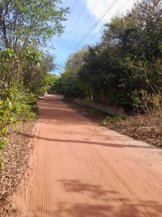Imagem Terreno à Venda, 6.000 m² em Tibau Do Sul